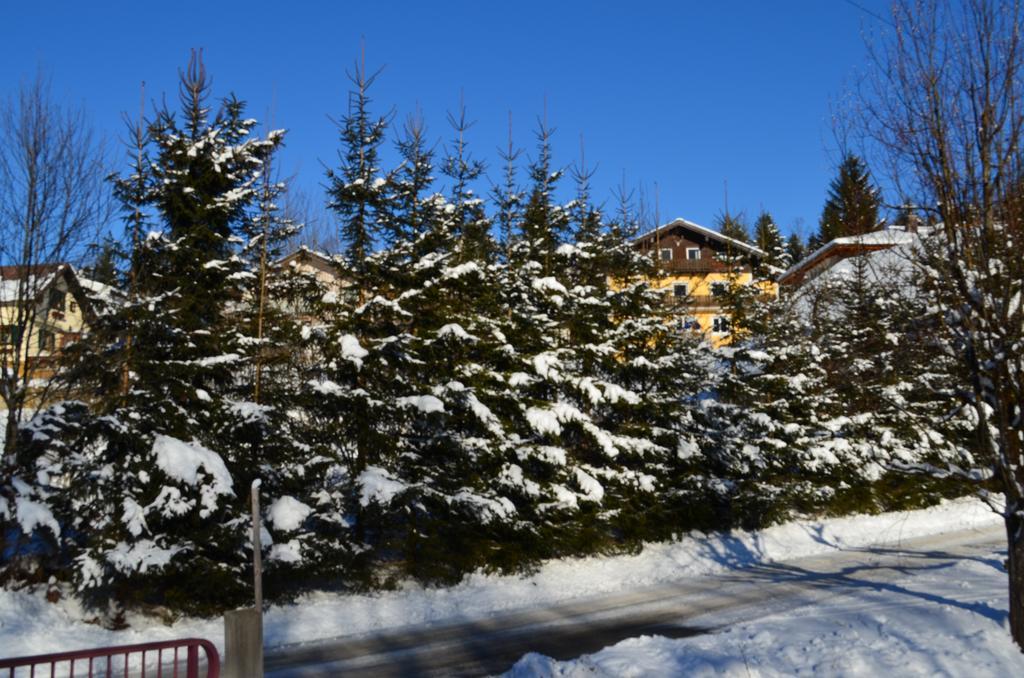 Alpengasthof Dollerhof Hotel Abtenau Exterior photo